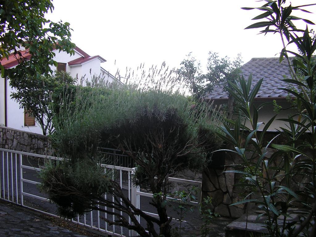 Apartment Bilic เคลโนวีซา ห้อง รูปภาพ